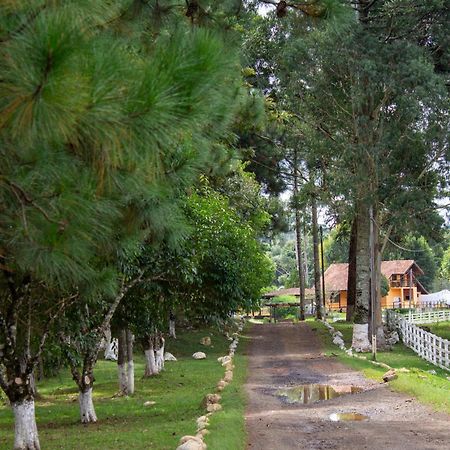 Goldmen Select Guarapuava Hotel Luaran gambar