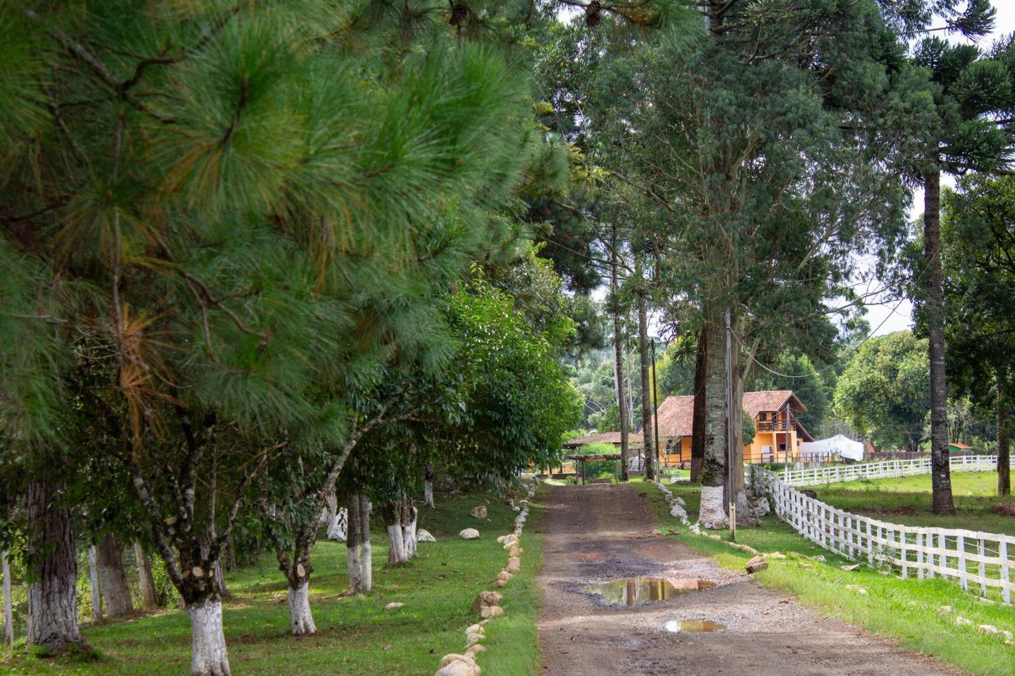 Goldmen Select Guarapuava Hotel Luaran gambar